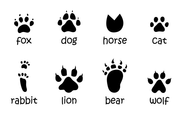 [object Object] undefined