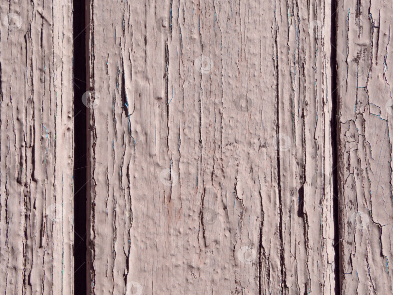 Скачать Текстура окрашенных деревянных досок для фона. Светло-бежевая текстурированная деревянная поверхность, окрашенная потрескавшейся краской крупным планом фотосток Ozero