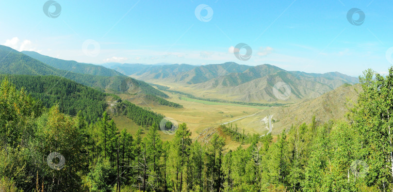 Скачать Взгляд поверх высоких сосен на красивую долину, окруженную горными хребтами, в солнечный летний день. фотосток Ozero