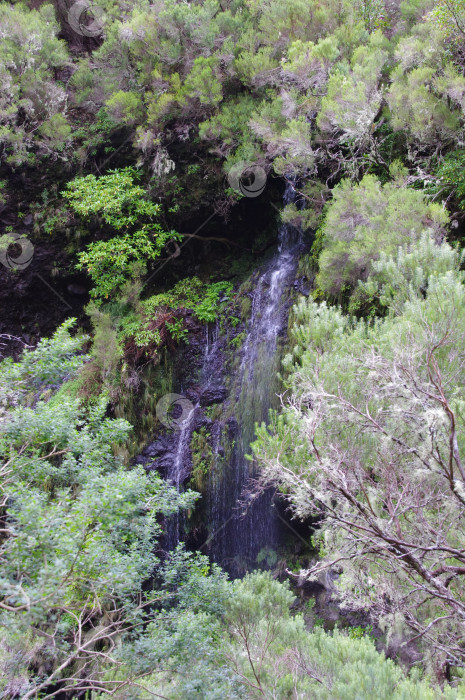 Скачать Водопад фотосток Ozero