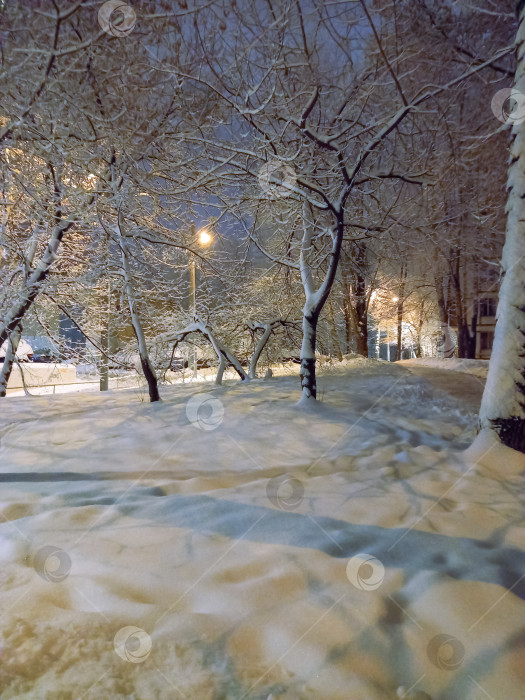 Скачать Заснеженные деревья и дорога в городском дворе зимним вечером фотосток Ozero