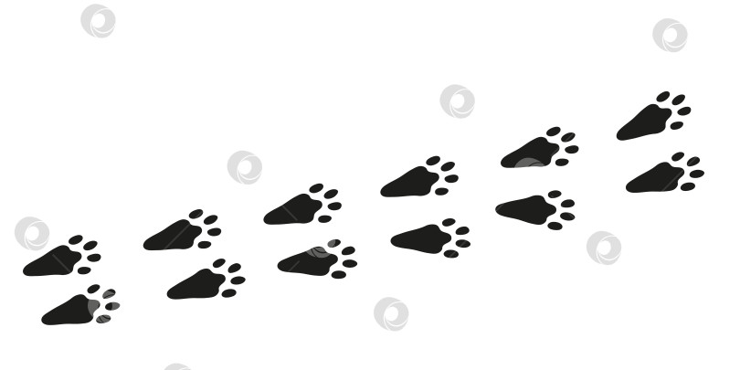 Скачать Заячьи лапы. Следы ног животных. Черные следы зайца на белом фоне. Плоская векторная иллюстрация. Дизайн для печати, оформления, детской развивающей книги фотосток Ozero