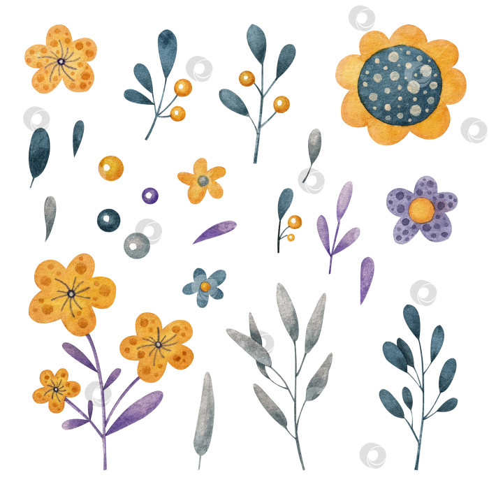 Скачать Украшенный синими, желтыми и фиолетовыми цветами и растениями. фотосток Ozero