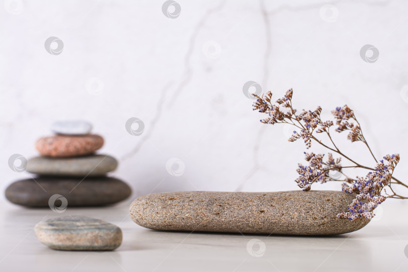 Скачать Пьедестал с рисунком из гладкого плоского морского камня и сухими цветами на столе фотосток Ozero