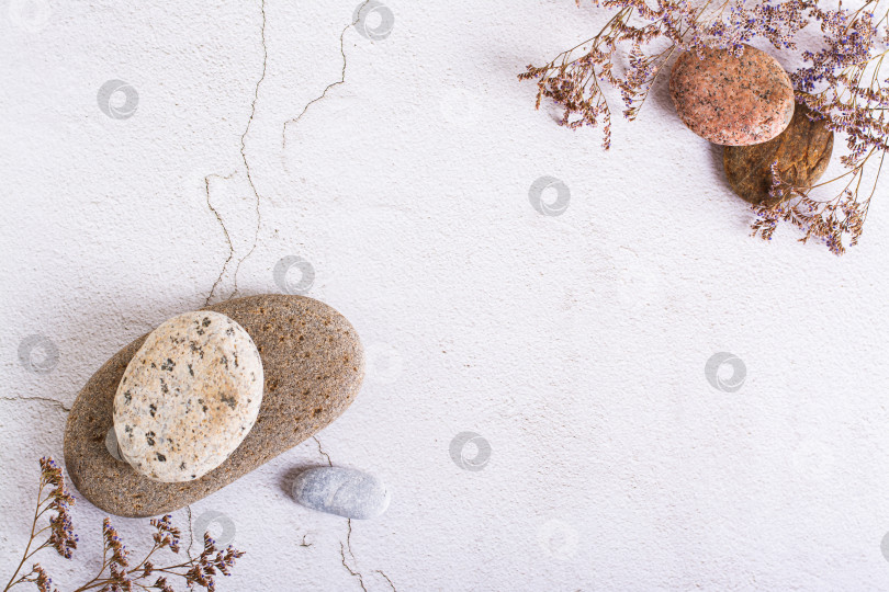 Скачать Красивая композиция из гладких морских камней и засушенных цветов на светлом фоне вид сверху фотосток Ozero
