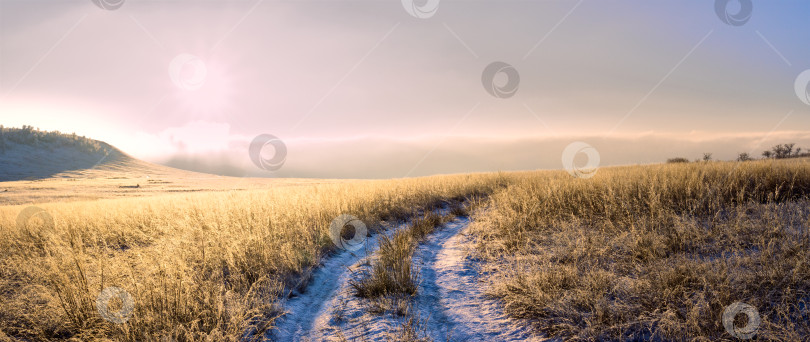 Скачать Дорога по полю в туманную даль. фотосток Ozero