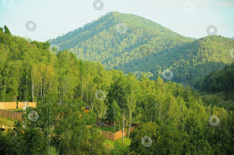 Скачать Ферма, окруженная высоким деревянным забором, в березовом лесу на склоне высокой горы. фотосток Ozero