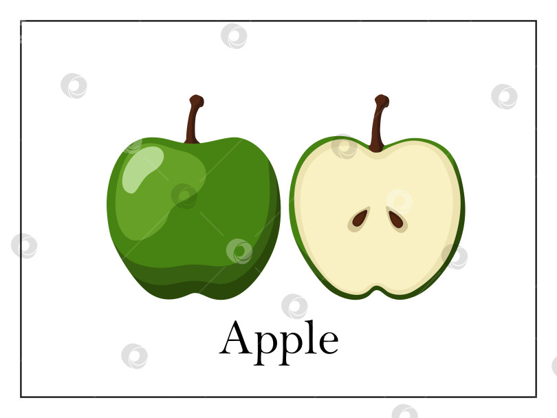 Скачать Открытка с подписанным целым яблоком и разрезанным пополам яблоком на белом фоне в тонкой рамке фотосток Ozero