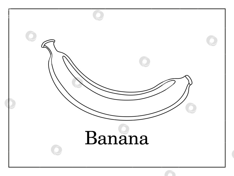 Скачать Раскраска-открытка с подписью целого банана и разрезанного пополам банана на белом фоне в тонкой рамке фотосток Ozero