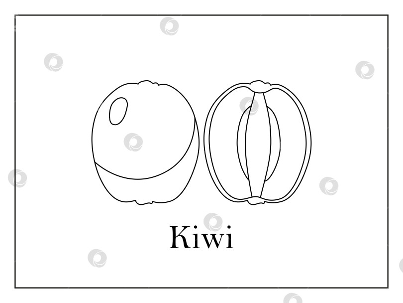 Скачать Раскраска-открытка с подписью целого киви и разрезанного пополам киви на белом фоне в тонкой рамке фотосток Ozero