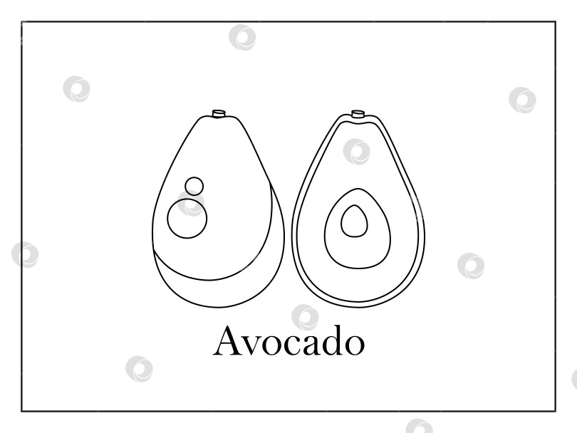 Скачать Раскраска-открытка с подписью целого авокадо и авокадо, разрезанного пополам, на белом фоне в тонкой рамке фотосток Ozero