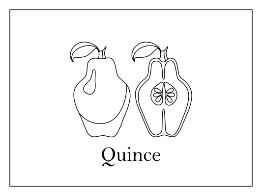 [object Object] undefined