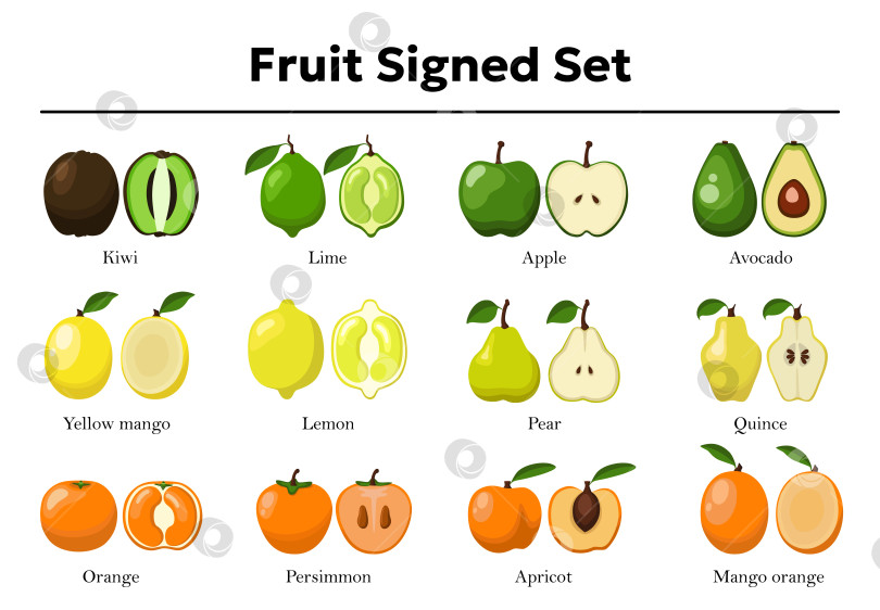 Скачать Большой яркий набор фруктов с подписями для детей из киви, лайма, яблока, авокадо, манго, лимона, груши, айвы, апельсина, хурмы, абрикоса целиком и разрезанных пополам, с надписью сверху фотосток Ozero