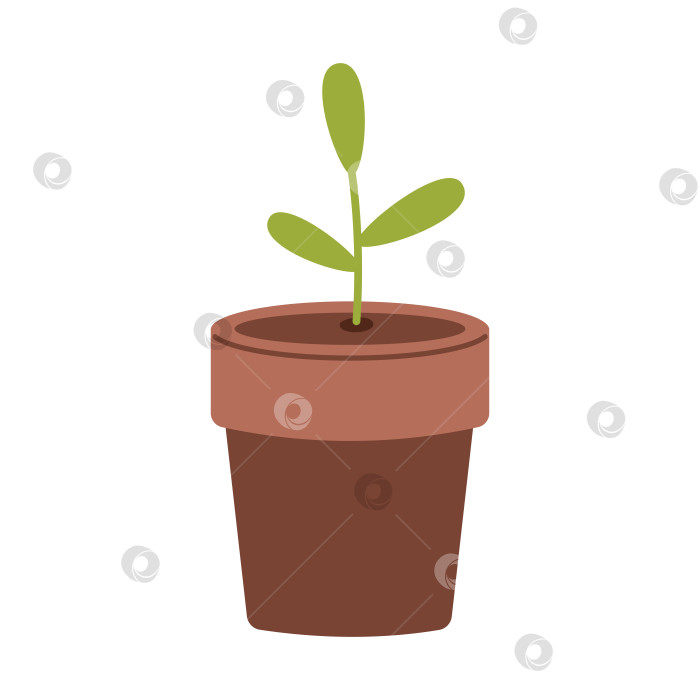 Скачать Векторное молодое зеленое растение в плоском дизайне. Саженец в горшке для растений. Посадка и озеленение. Весна. фотосток Ozero