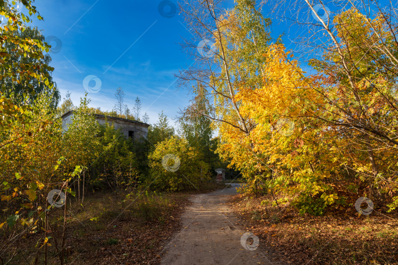 Скачать Осенний пейзаж фотосток Ozero