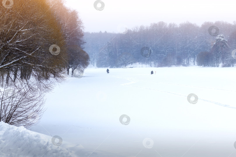 Скачать Пруд и лес под снегом. Зимняя рыбалка фотосток Ozero