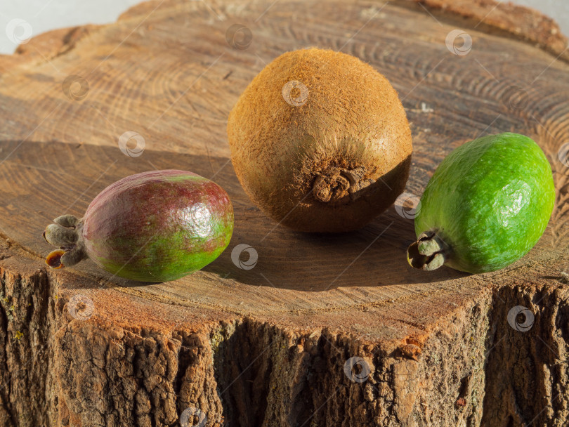 Скачать Зеленые спелые плоды фейхоа и киви (актинидии) на деревянном пеньке. Фрукты и ягоды для здорового вегетарианского питания фотосток Ozero