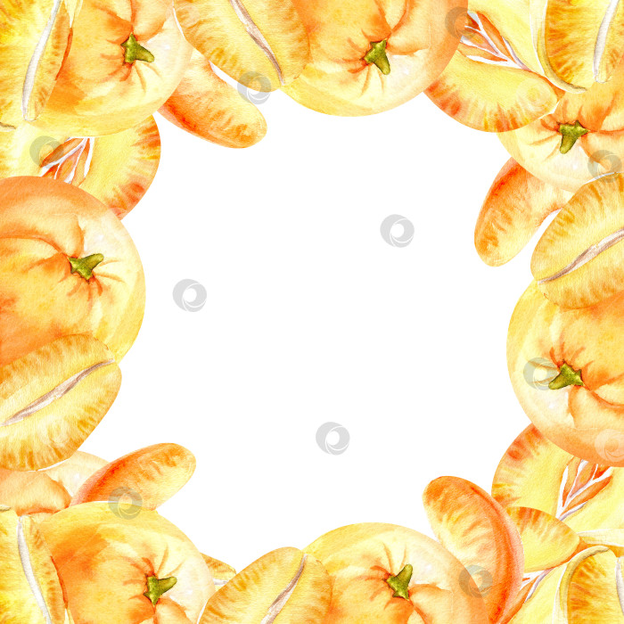 Скачать Акварельная рамка с оранжевыми мандаринами. Квадратная рамка с цитрусовыми фруктами, нарисованная от руки, шаблон карточки для логотипа, этикетки, дизайна упаковки, изолированный клип-арт фотосток Ozero