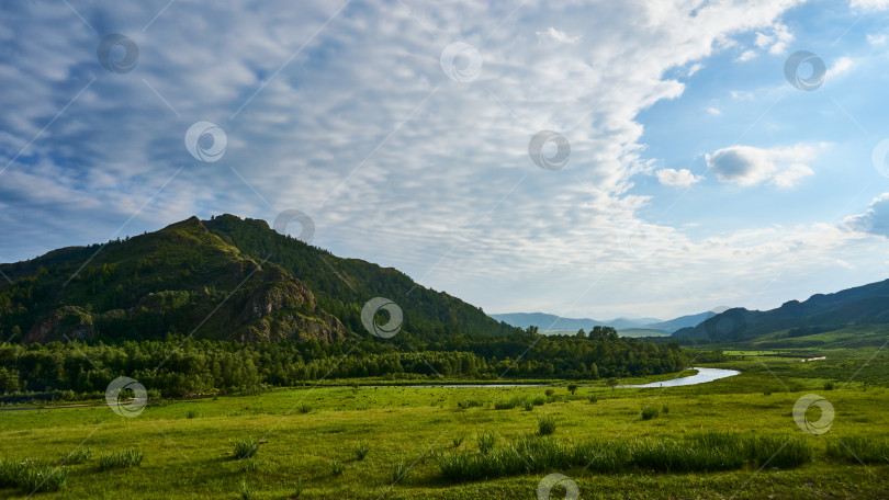 Скачать Приятный солнечный день на природе. фотосток Ozero