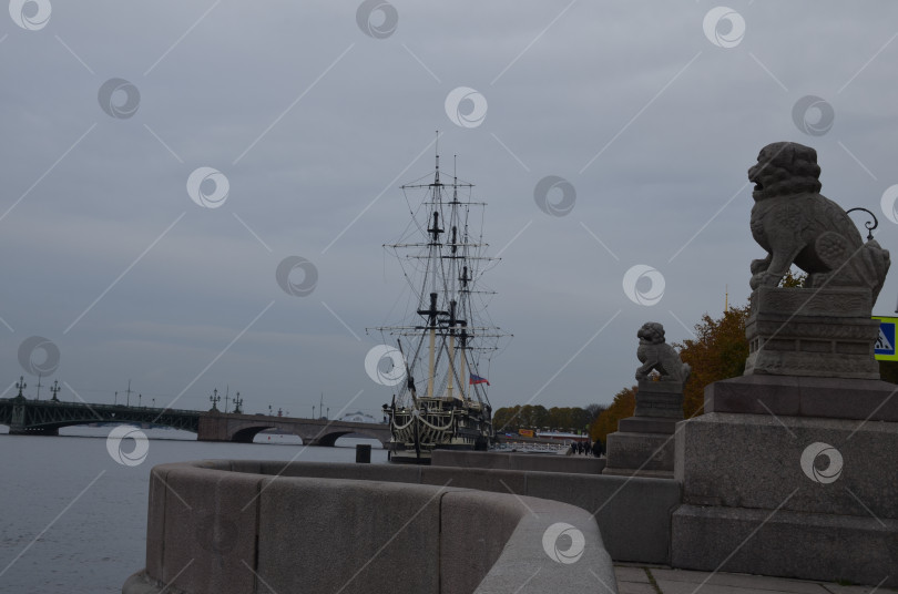 Скачать Санкт-Петербург, Россия – 10.22.2023: Пара гранитных скульптур мифологических львов-стражей Ши-Цза на Петровской набережной в Санкт-Петербурге фотосток Ozero