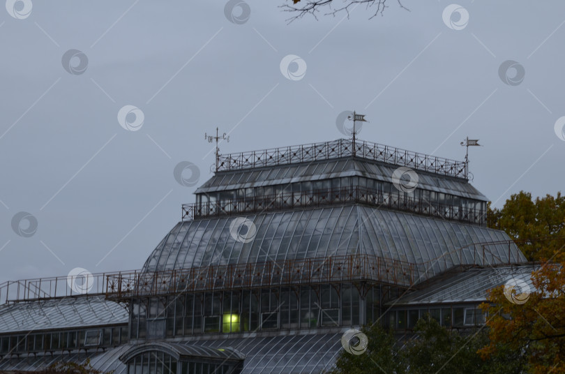 Скачать Крыша оранжереи в Ботаническом саду Петра Великого в Санкт-Петербурге фотосток Ozero