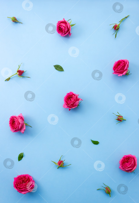 Скачать Цветочный узор. Розы на голубом фоне фотосток Ozero