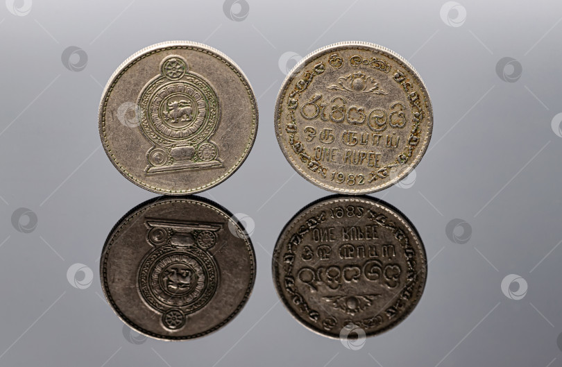 Скачать Монета Шри-Ланки в 1 рупию с обеих сторон фотосток Ozero