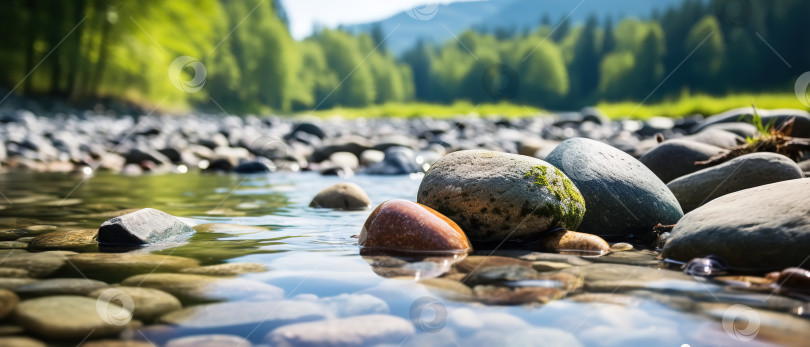 Скачать Каменный берег рядом с лесом, булыжники в воде. Крупный план, вид под низким углом фотосток Ozero