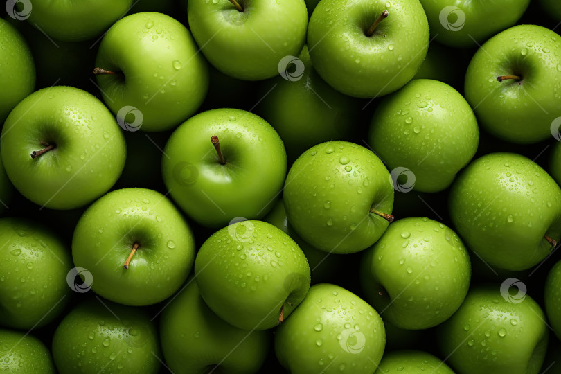 Скачать Кучка мокрых зеленых яблок, вид сверху фотосток Ozero
