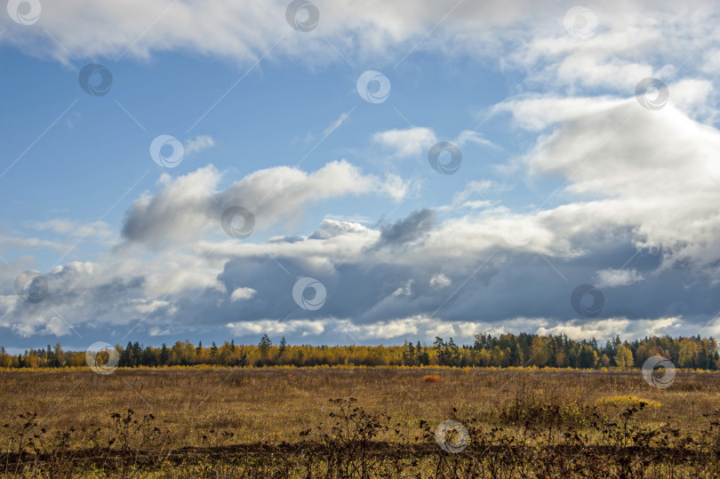 Скачать Осенний пейзаж фотосток Ozero