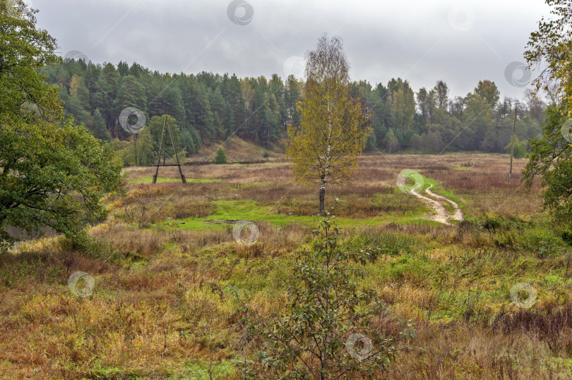 Скачать Дорога среди осени фотосток Ozero