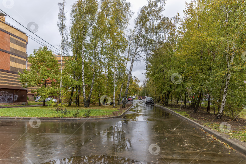 Скачать Осень в городе фотосток Ozero