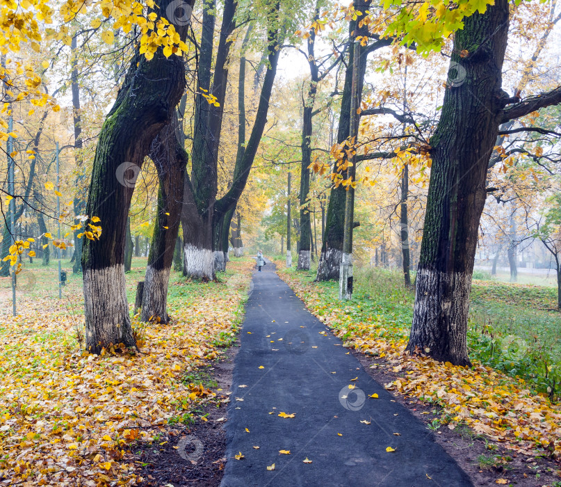 Скачать Осень в старом парке фотосток Ozero