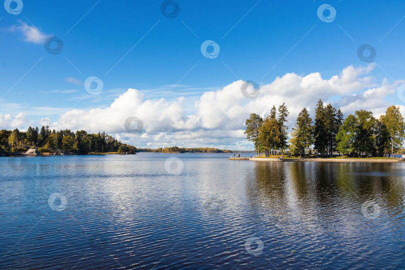 Скачать Пейзаж с водоёмом, синяя вода, голубое небо с белыми облаками, хвойные деревья вдалеке фотосток Ozero