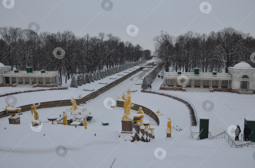 Скачать Санкт-Петербург, Россия – 12.23.2018: Большой фонтанный каскад и Морской канал в Нижнем парке Петергофа в Санкт-Петербурге зимой фотосток Ozero