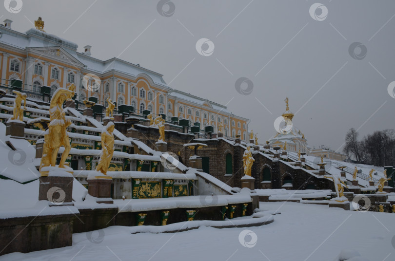 Скачать Санкт-Петербург, Россия – 12.23.2018: Большой дворец и Большой фонтанный каскад в Нижнем парке Петергофа в Санкт-Петербурге зимой фотосток Ozero