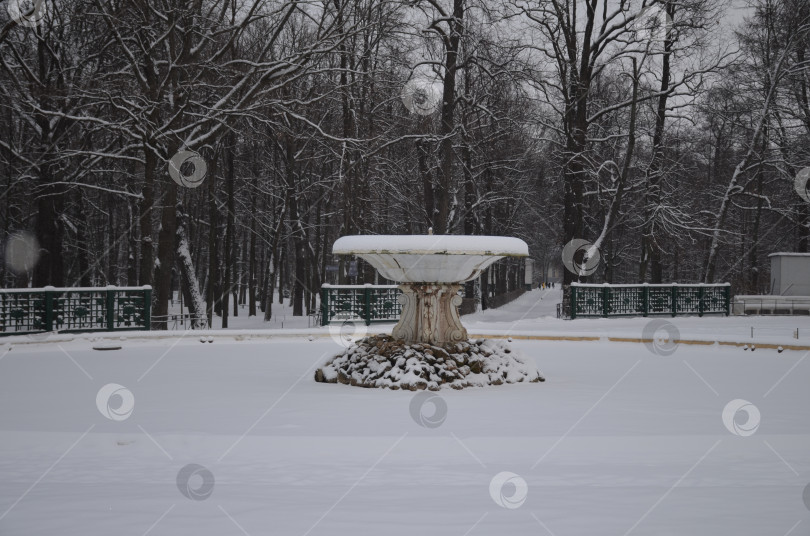 Скачать Санкт-Петербург, Россия – 12.23.2018: Мраморная чаша фонтана, занесенного снегом в Нижнем парке Петергофа в Санкт-Петербурге зимой фотосток Ozero