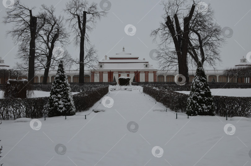 Скачать Санкт-Петербург, Россия – 12.23.2018: Дворец Монплезир в Нижнем парке Петергофа в Санкт-Петербурге зимой фотосток Ozero