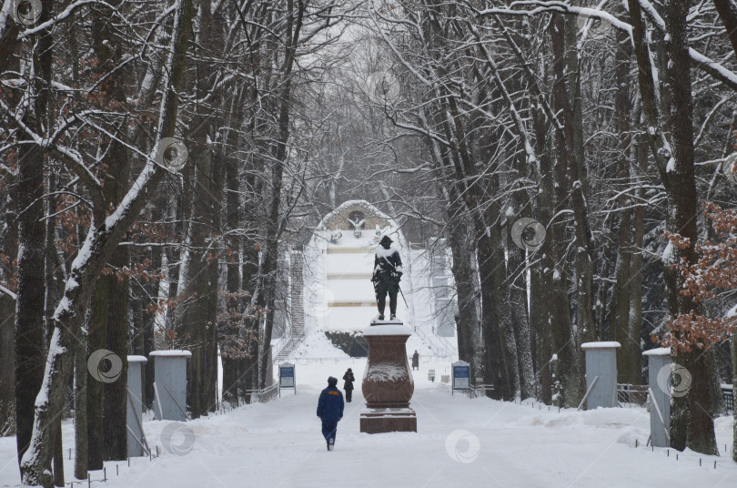 Скачать Санкт-Петербург, Россия – 12.23.2018: Памятник Петру Великому на Водяной дороге и Каскад Шахматная гора в Нижнем парке Петергофа в Санкт-Петербурге зимой фотосток Ozero