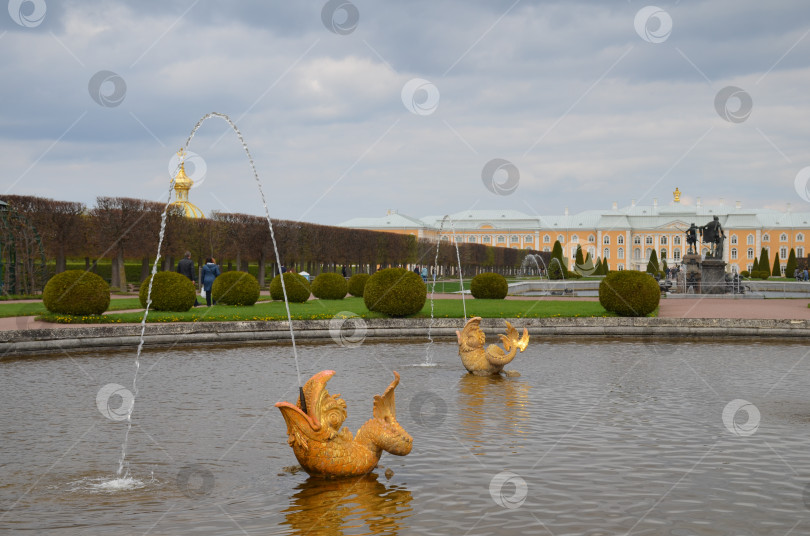 Скачать Верхний сад Петергофа в Санкт-Петербурге весной фотосток Ozero