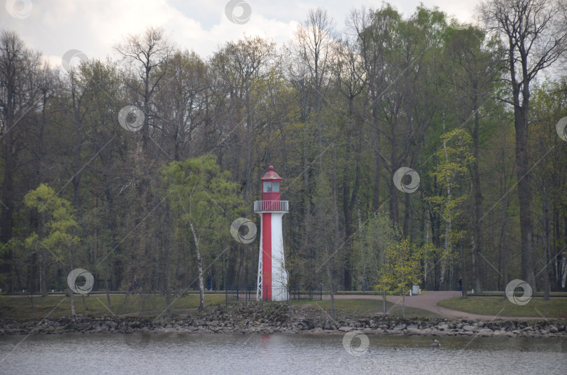 Скачать Южный маяк в Нижнем парке Петергофа в Санкт-Петербурге весной фотосток Ozero