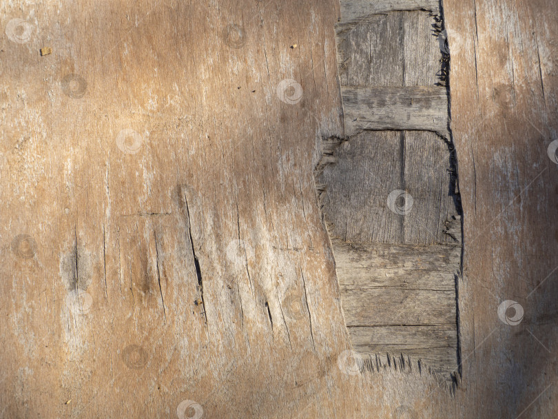 Скачать фон с рисунком, имитирующим текстуру старого дерева. поверхность из старой фанеры. Крупный план старого листа фанеры, текстура дерева фотосток Ozero