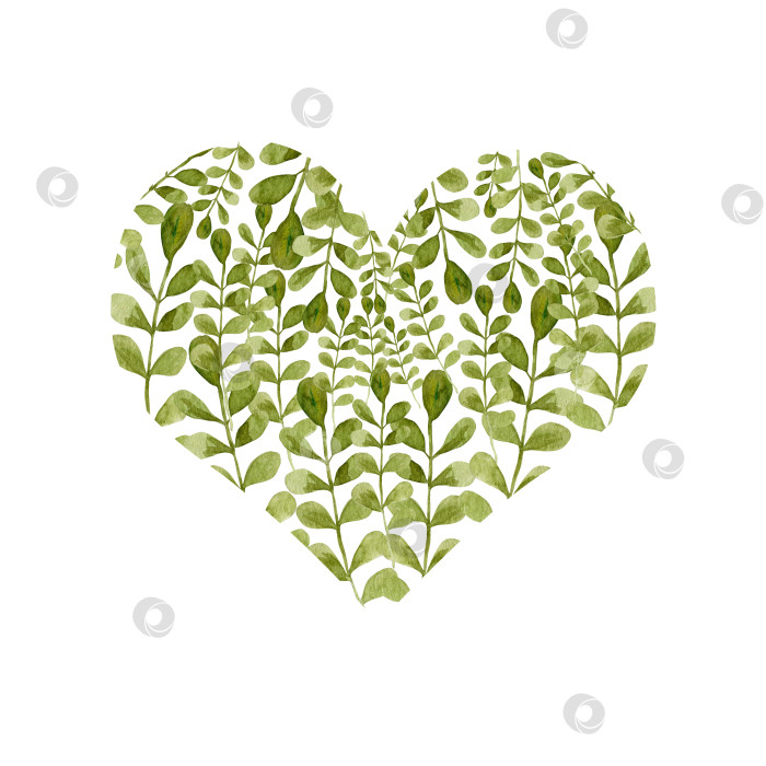 Скачать Акварельная композиция с зелеными листьями и ветвями. Нарисованная от руки листва растения в форме сердца. Композиция для открыток, приглашений, свадебного декора фотосток Ozero