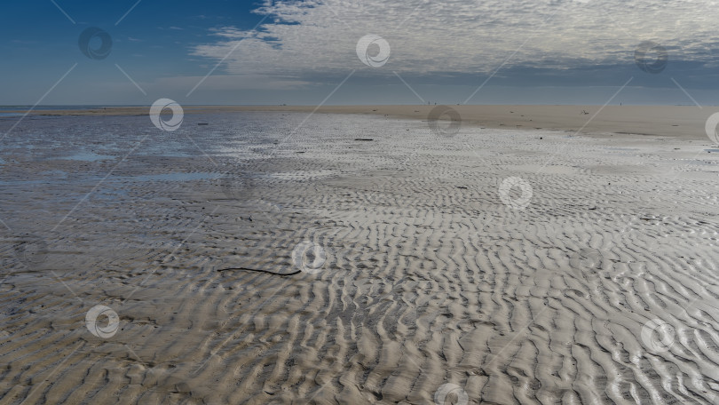 Скачать Отлив. На обнажившемся волнистом песчаном морском дне видны лужи воды. фотосток Ozero