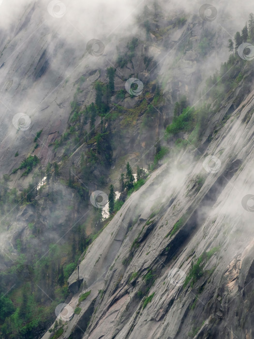 Скачать Вертикальная гранитная стена горы с древесным лесом над обрывом, на фоне туманной дымки. Впечатляющий горный фон. Концепция выживания в сложных условиях. фотосток Ozero