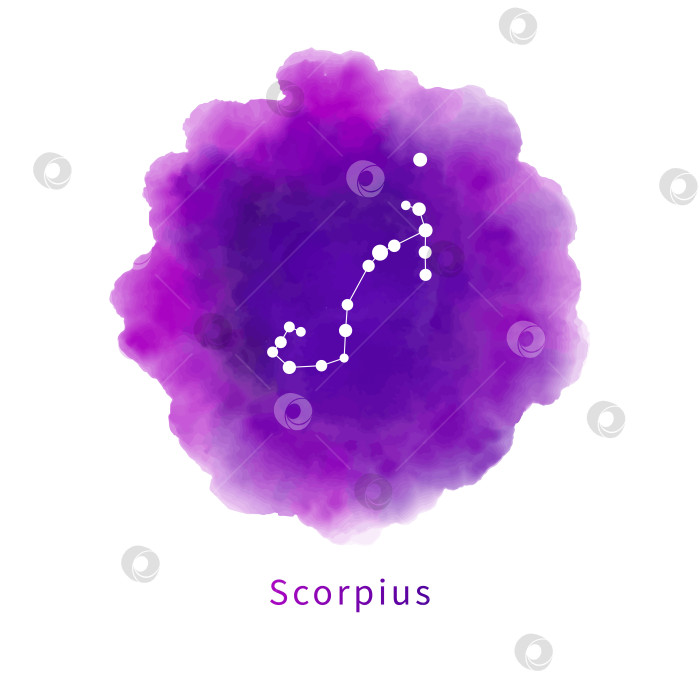 Скачать Скорпион - звездное созвездие знака зодиака на ярко-пурпурном акварельном фоне. Символ гороскопа на акварельной текстуре. Векторная иллюстрация. фотосток Ozero