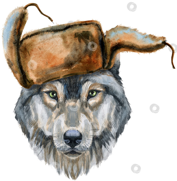 Скачать Волчья голова в шляпе. Акварельная иллюстрация к картине волка, изолированная на белом фоне фотосток Ozero