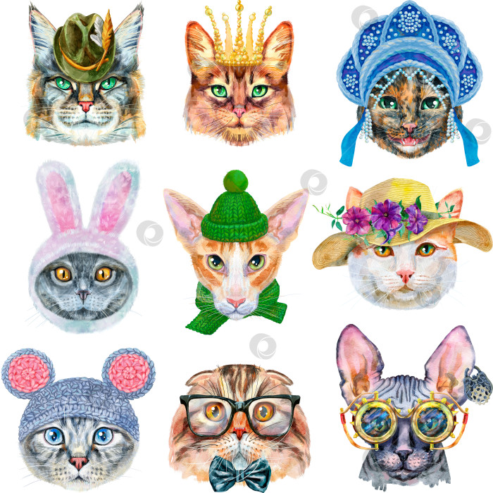 Скачать Набор портретов кошек разных пород с аксессуарами. Акварельная иллюстрация, нарисованная от руки фотосток Ozero