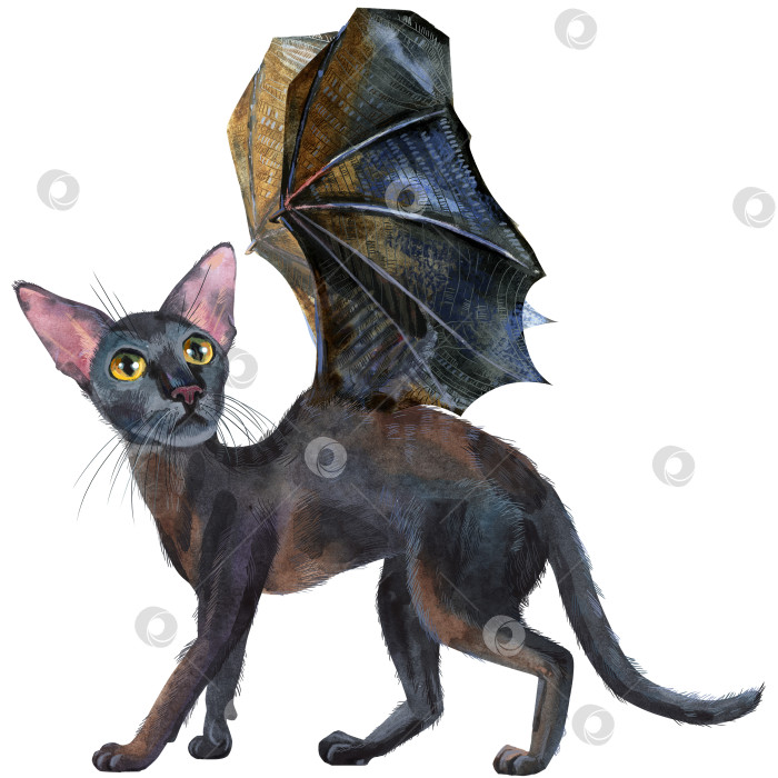 Акварельная восточная черная кошка с крыльями летучей мыши. Рисующая  иллюстрация к животным - Ozero - российский фотосток