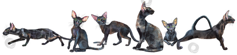 Скачать Акварельная кайма с изображением восточных черных кошек. Рисующая иллюстрация к животным фотосток Ozero